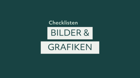Thumbnail Dunkelgrüner Hintergrund mit weißen Kästen. Über und auf den Kästen der Videotitel.